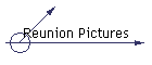 Reunion Pictures