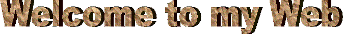 Welcome to my Web Site 